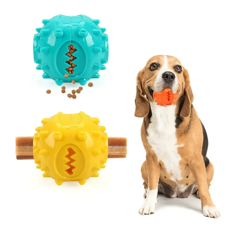 Premium Hundespielzeug Ball – Zahnreinigung beim Spielen – Petix