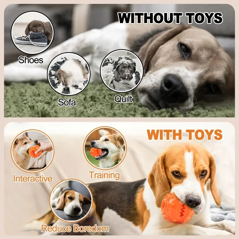 Kauspielzeug Ball für Hunde mit Leckerli-Funktion