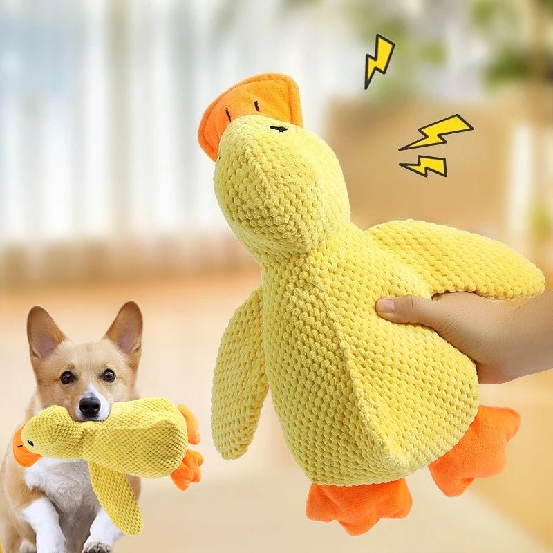 Plüsch Hundespielzeug Ente mit Quietschfunktion – Petix