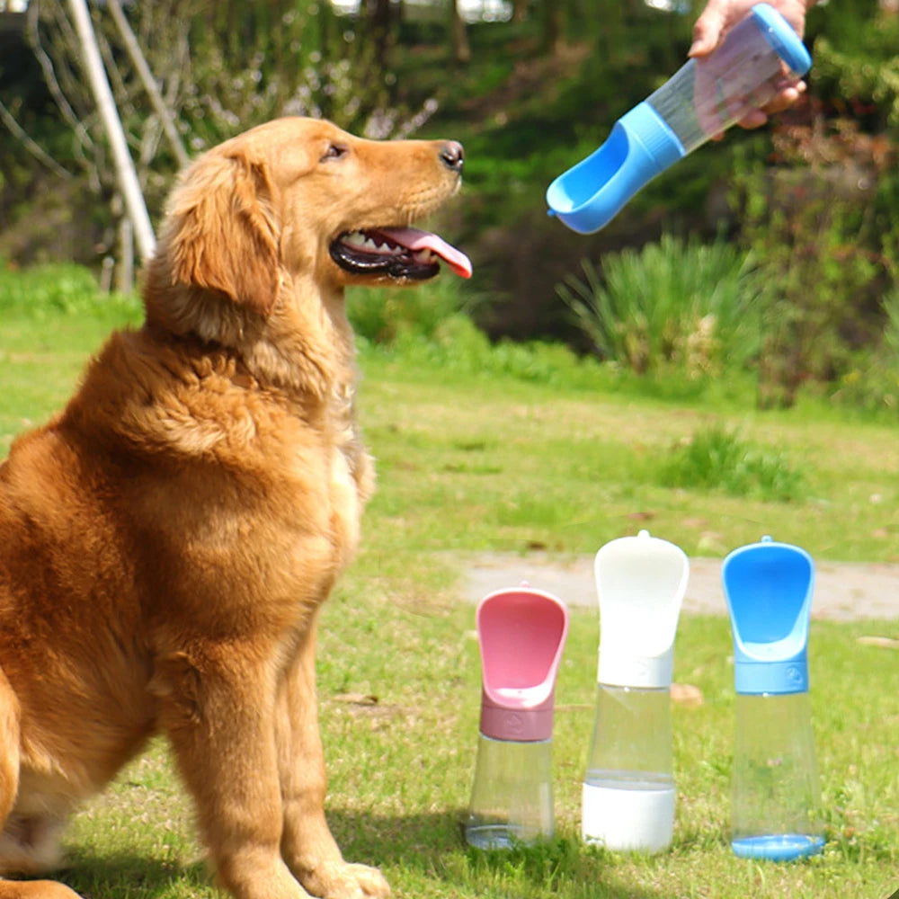 Hund trinkt aus der portablen Petix Hundetrinkflasche unterwegs