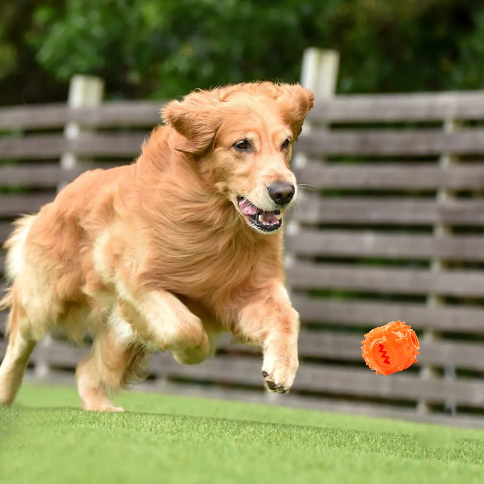 Hundekauspielzeug Ball in Orange  – fördert Selbstspiel